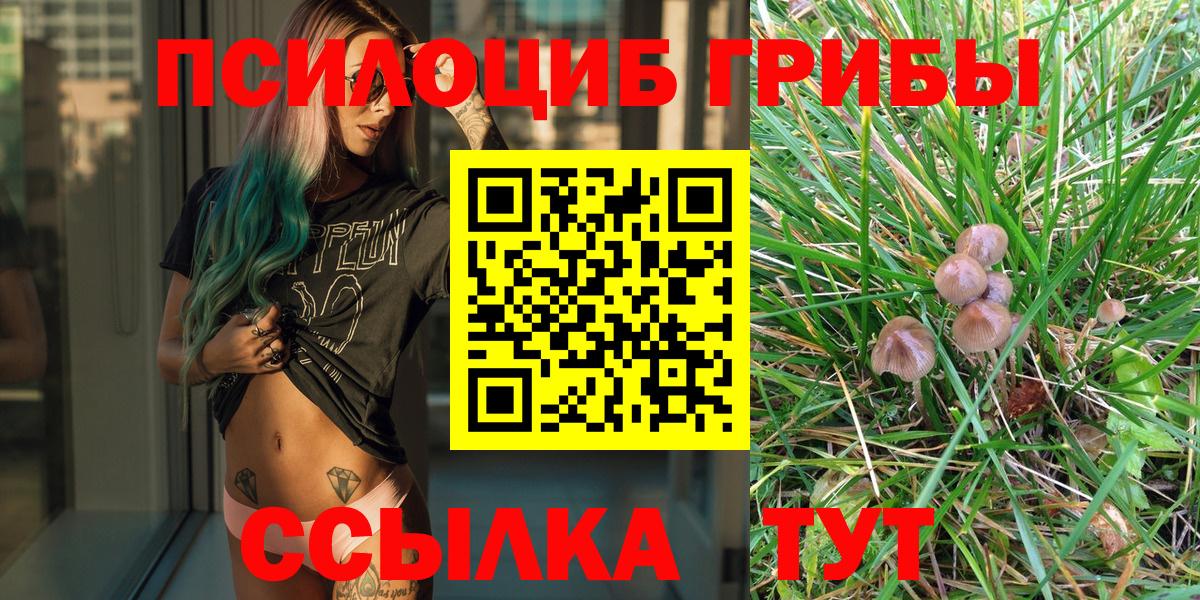 Псилоцибиновые грибы Magic Shrooms Усолье-Сибирское