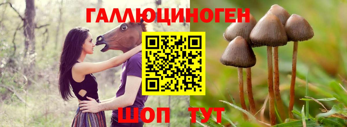 Псилоцибиновые грибы Psilocybine cubensis  Вход с VPN  Галлюциногенные грибы мухоморы  Усолье-Сибирское 